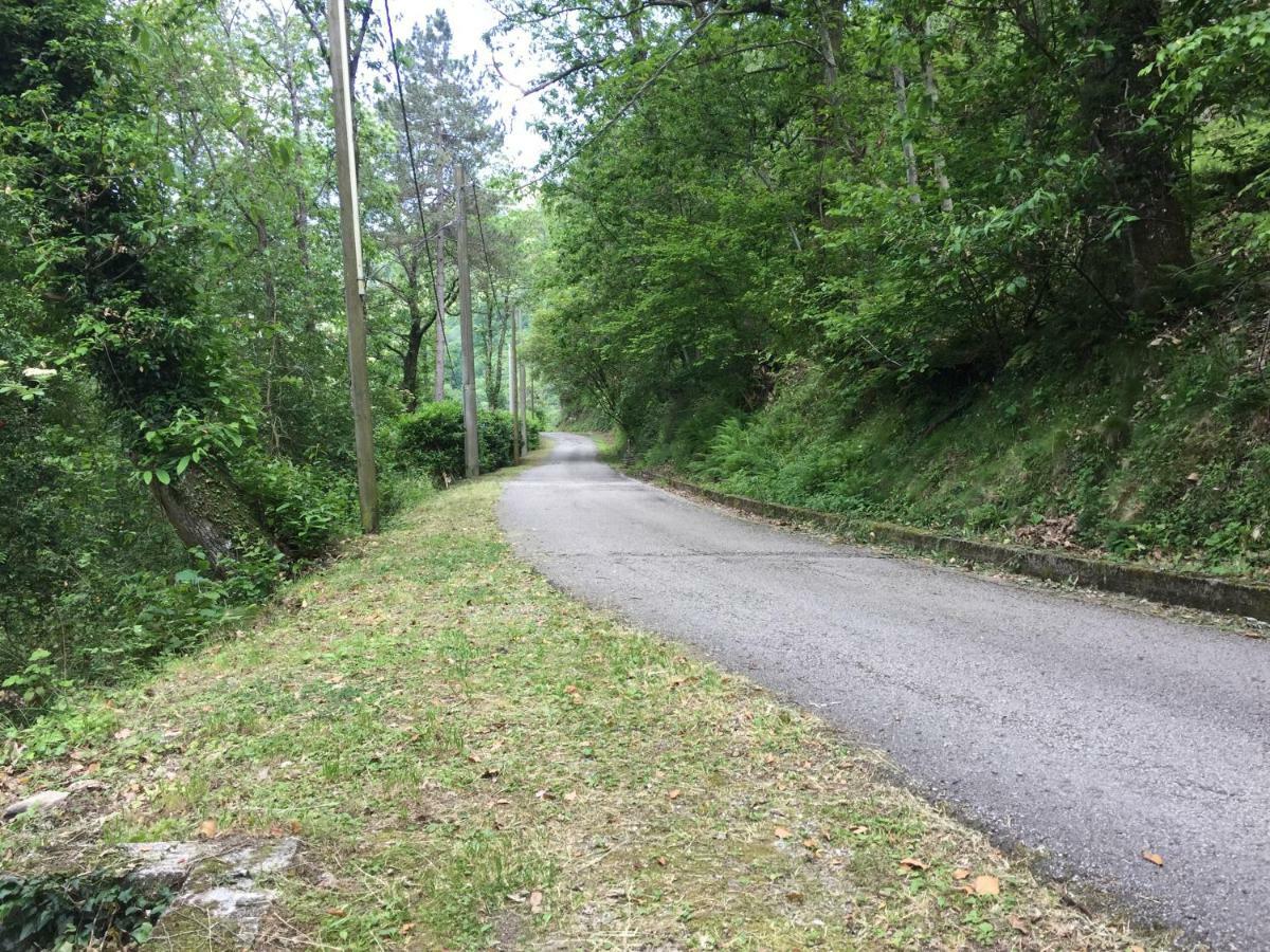 Il Frutteto Natura A Relax Stazzema Bagian luar foto